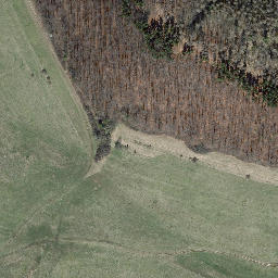 Satellite imagery of Dachsberg, DE