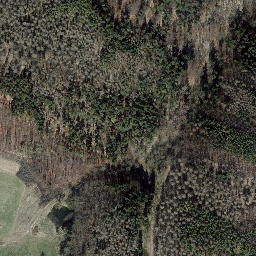 Satellite imagery of Dachsberg, DE