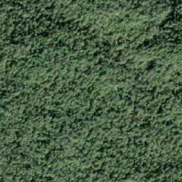 Satellite imagery of Taylor Point, CA