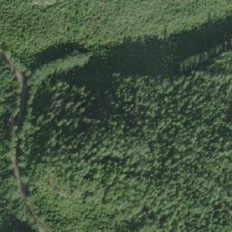 Satellite imagery of Mount Wynyard, CA