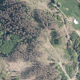 Satellite imagery of Mittelberg, DE