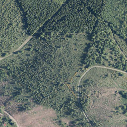 Satellite imagery of Mittelberg, DE