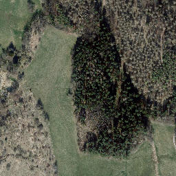 Satellite imagery of Dachsberg, DE