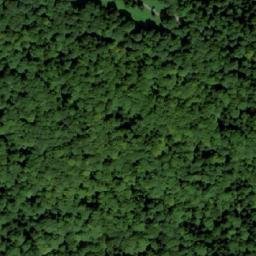 Satellite imagery of Kopiec Czartoryskiego, PL