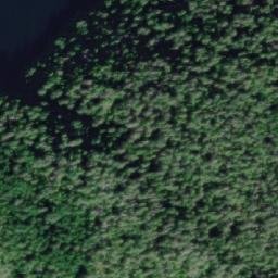 Satellite imagery of Walker Point, CA