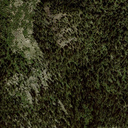 Satellite imagery of Squilax Mountain, CA