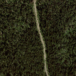 Satellite imagery of Squilax Mountain, CA