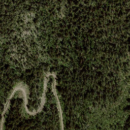 Satellite imagery of Squilax Mountain, CA