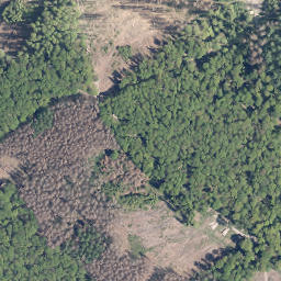 Satellite imagery of Hamberg, DE