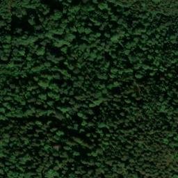 Satellite imagery of Großer Inselsberg, DE