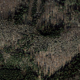 Satellite imagery of Dammberg, DE