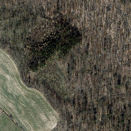 Satellite imagery of Hirzberg, DE