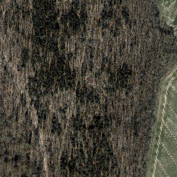 Satellite imagery of Hirzberg, DE