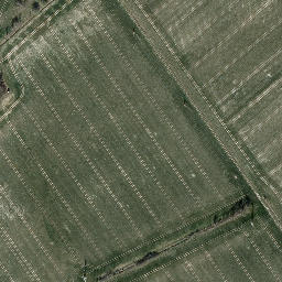 Satellite imagery of Hirzberg, DE