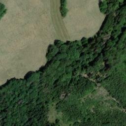 Satellite imagery of Tollenstein, CZ