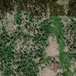Satellite imagery of Squilax Mountain, CA