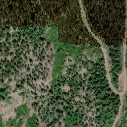 Satellite imagery of Squilax Mountain, CA
