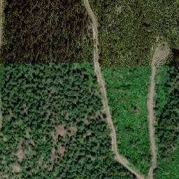 Satellite imagery of Squilax Mountain, CA