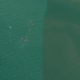 Satellite imagery of St Andrews Castle, GB