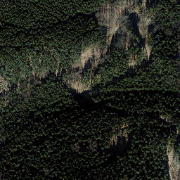 Satellite imagery of Schauenburg, DE