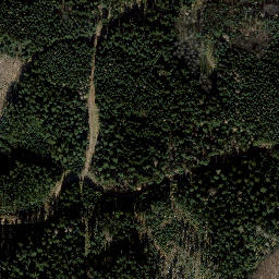 Satellite imagery of Dammberg, DE