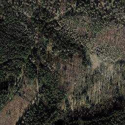 Satellite imagery of Dammberg, DE