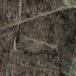 Satellite imagery of Hirzberg, DE