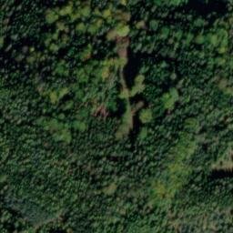 Satellite imagery of Bukovina, CZ