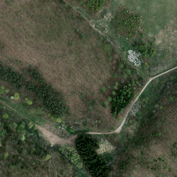 Satellite imagery of Zamek Cisy, PL