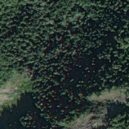 Satellite imagery of Curtis Point, CA