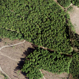 Satellite imagery of Wasenecke, DE