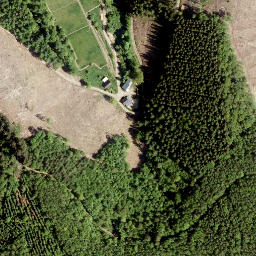 Satellite imagery of Wasenecke, DE