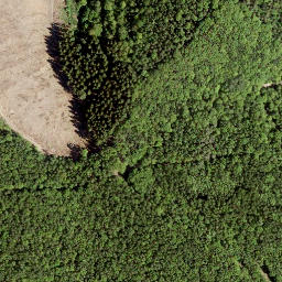 Satellite imagery of Wasenecke, DE