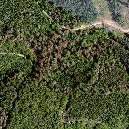 Satellite imagery of Giebelberg, DE