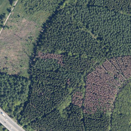 Satellite imagery of Gilbergskopf, DE