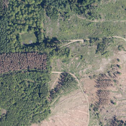 Satellite imagery of Gilbergskopf, DE