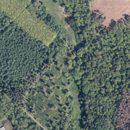 Satellite imagery of Hamberg, DE