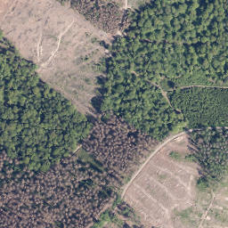 Satellite imagery of Hamberg, DE