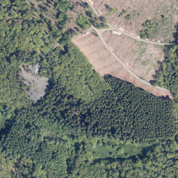 Satellite imagery of Homberg, DE