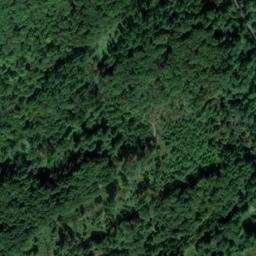 Satellite imagery of Treisberg, DE