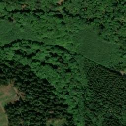 Satellite imagery of Großer Inselsberg, DE