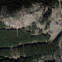 Satellite imagery of Schauenburg, DE