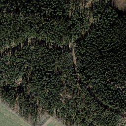 Satellite imagery of Dammberg, DE