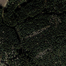 Satellite imagery of Dammberg, DE