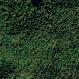 Satellite imagery of Bukovina, CZ