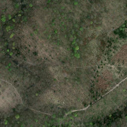 Satellite imagery of Zamek Cisy, PL