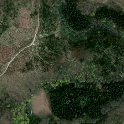 Satellite imagery of Zamek Cisy, PL