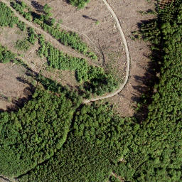 Satellite imagery of Wasenecke, DE
