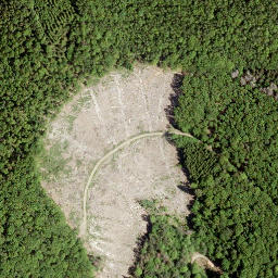 Satellite imagery of Wasenecke, DE