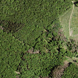 Satellite imagery of Wasenecke, DE
